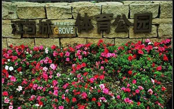 體育運動地板價格