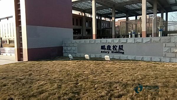 橡膠木怎么維修？籃球館木地板