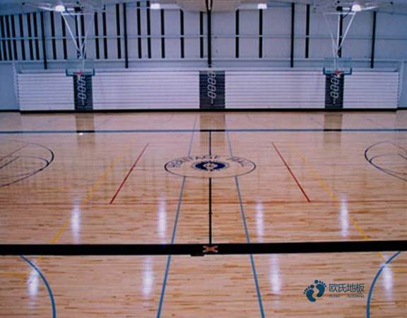 五角楓NBA籃球場木地板批發價格
