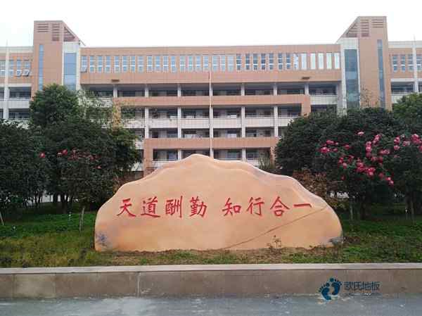 五家渠體育運(yùn)動(dòng)木地板